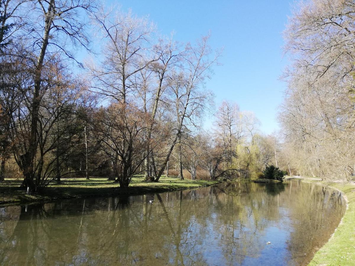Lemke * Donaueschingen